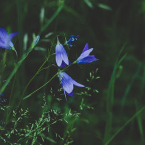 Meet your Posher, Kimberley